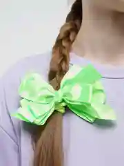 Зеленый заколка для волос "Бант"