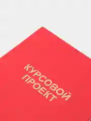 Папка "Курсовой проект" в жесткой обложке