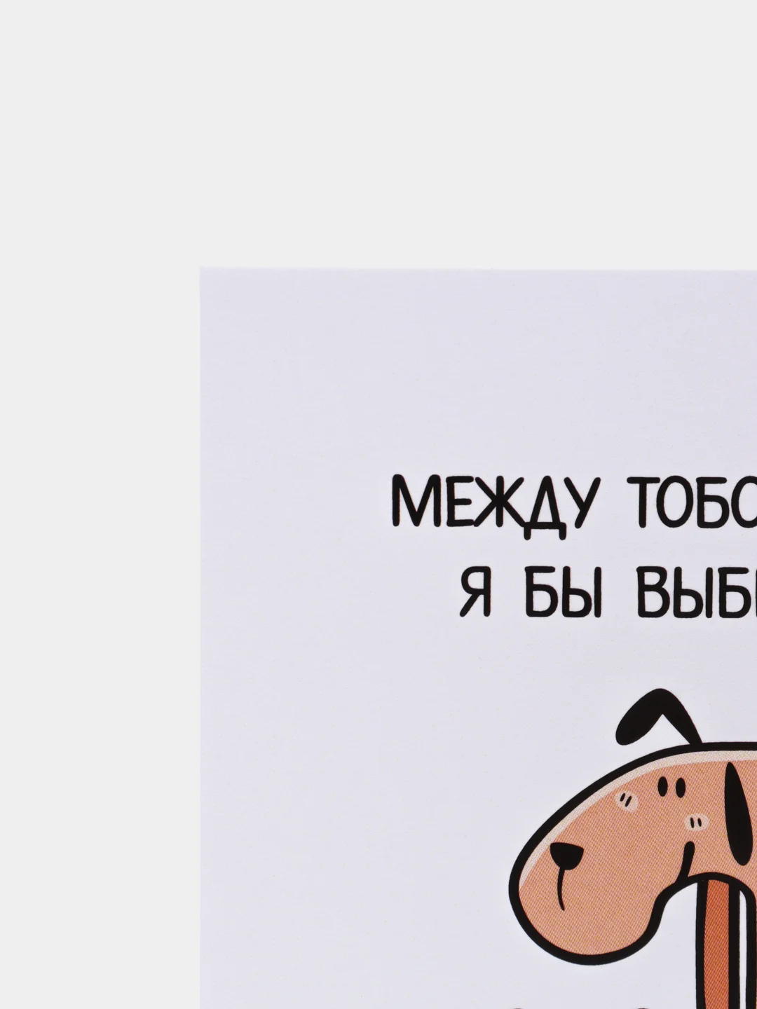Открытка "Между тобой и костью, я бы выбрал кость, чтобы потом подарить ее тебе"