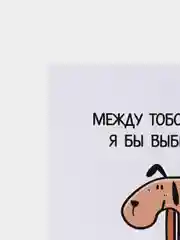 Открытка "Между тобой и костью, я бы выбрал кость, чтобы потом подарить ее тебе"