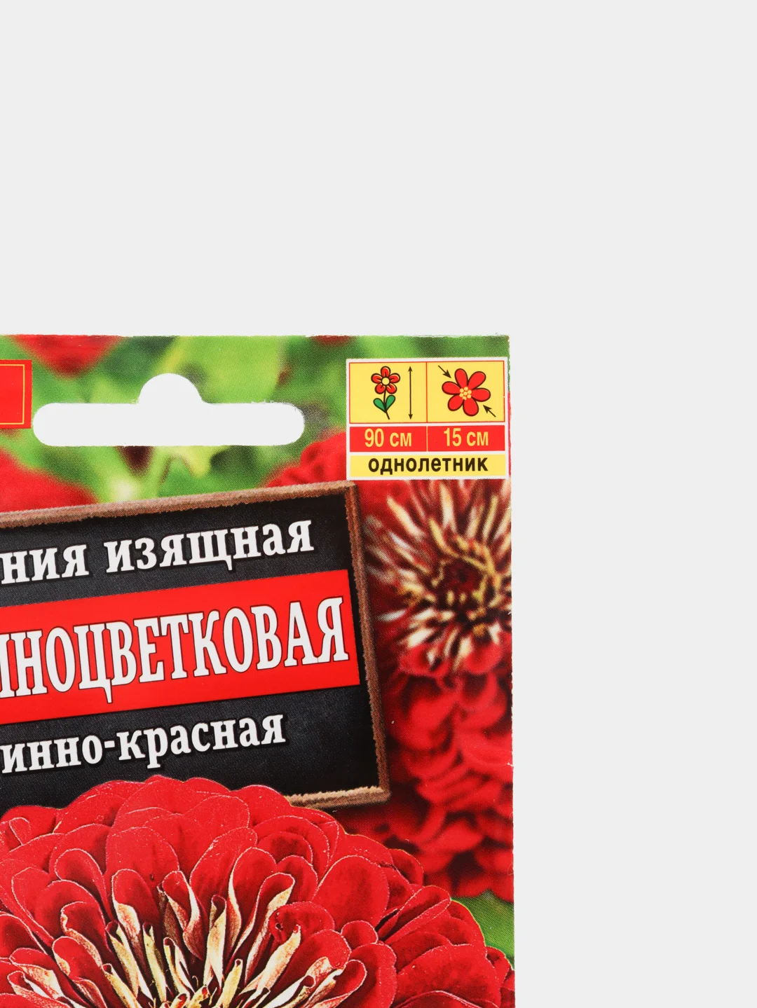 Семена Цинния "Крупноцветковая Винно-красная"