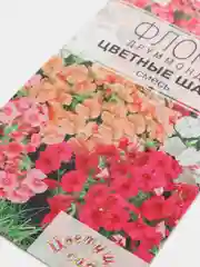 Флокс "Цветные шары" (семена, цветы)
