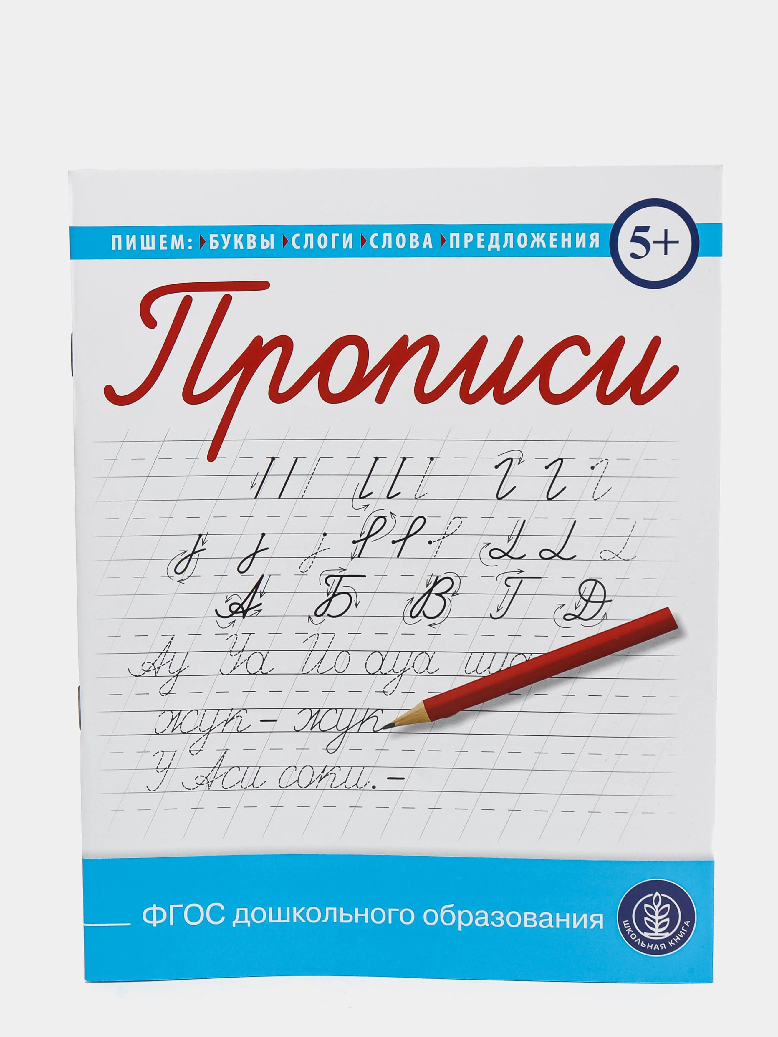 ГРАФИЧЕСКИЕ диктанты. ПРОПИСИ: Математические, Печатные и Каллиграфические буквы. Комплект