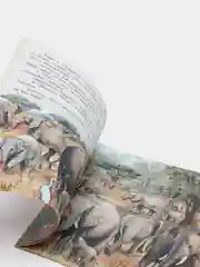 Серый книга детская Приключения зверей, 12 видов
