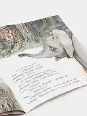 Серый книга детская Приключения зверей, 12 видов