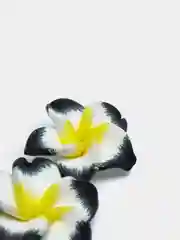 Черный кабошон цветы