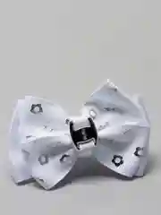 Белый банты для волос на резинке школьные 2 шт