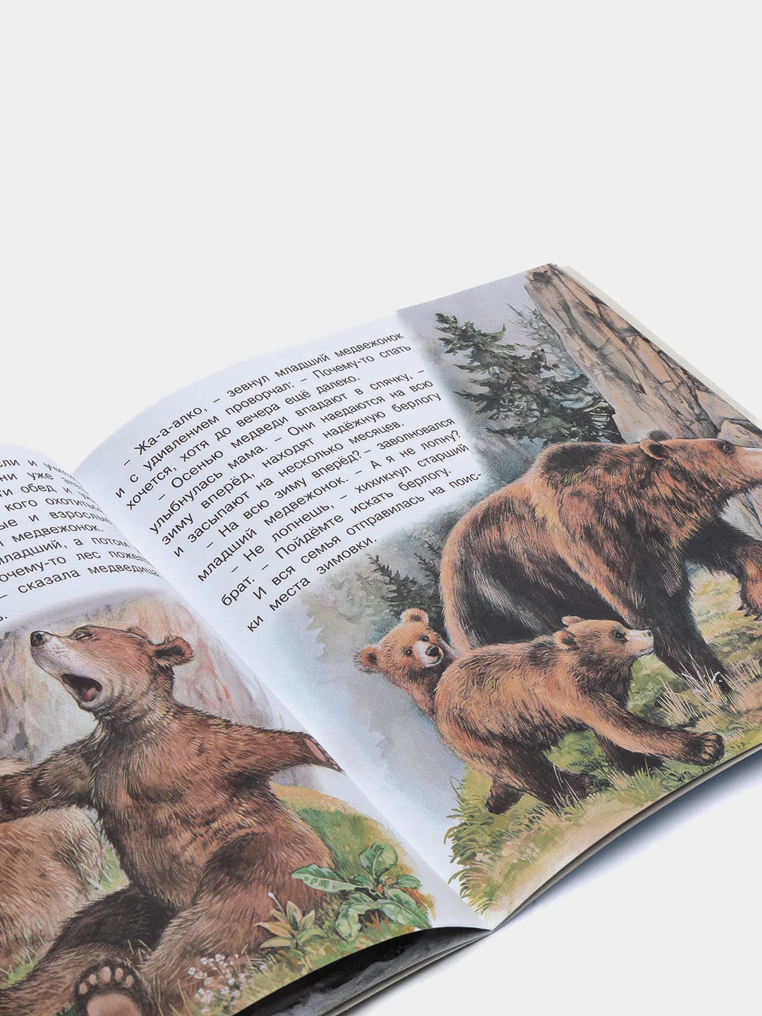 Хаки книга детская Приключения зверей, 12 видов