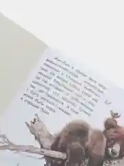 Хаки книга детская Приключения зверей, 12 видов
