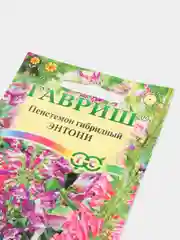 Пенстемон "Энтони" семена, цветы