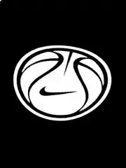 Белый голографический стикер на ноутбук или телефон "Мяч с логотипом Nike"