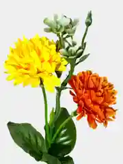 Искусственные цветы "Кустовые гвоздики", двухцветный букет, высота: 37 см, D цветка: 5 см