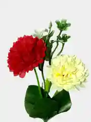 Искусственные цветы. Кустовые гвоздики (двухцветный букет). Высота: 37 см. D цветка: 5 см
