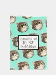 Пастельно-коралловый обложка на паспорт, с принтом