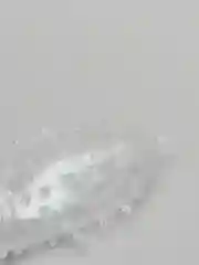 Белый насадка на пенис с вибропулей