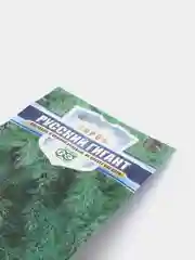 Укроп кустовой "Русский гигант", семена