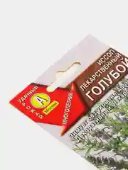 Иссоп лекарственный голубой (семена, цветы)