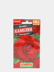 Семена цветов Бегония крупноцветковая "Камелия", темно-красная, 10 штук