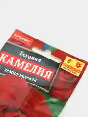 Семена цветов Бегония крупноцветковая "Камелия", темно-красная, 10 штук
