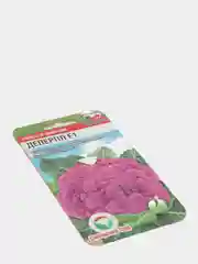Семена Капуста цветная "Деперпл", 5 штук, Сиб Сад