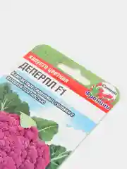 Семена Капуста цветная "Деперпл", 5 штук, Сиб Сад