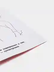 Багровый раскраска по номерам "Леди Баг и Супер-Кот", с прописями, А4
