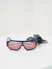 Аметистовый светящиеся (led) очки светодиодные, двухцветные