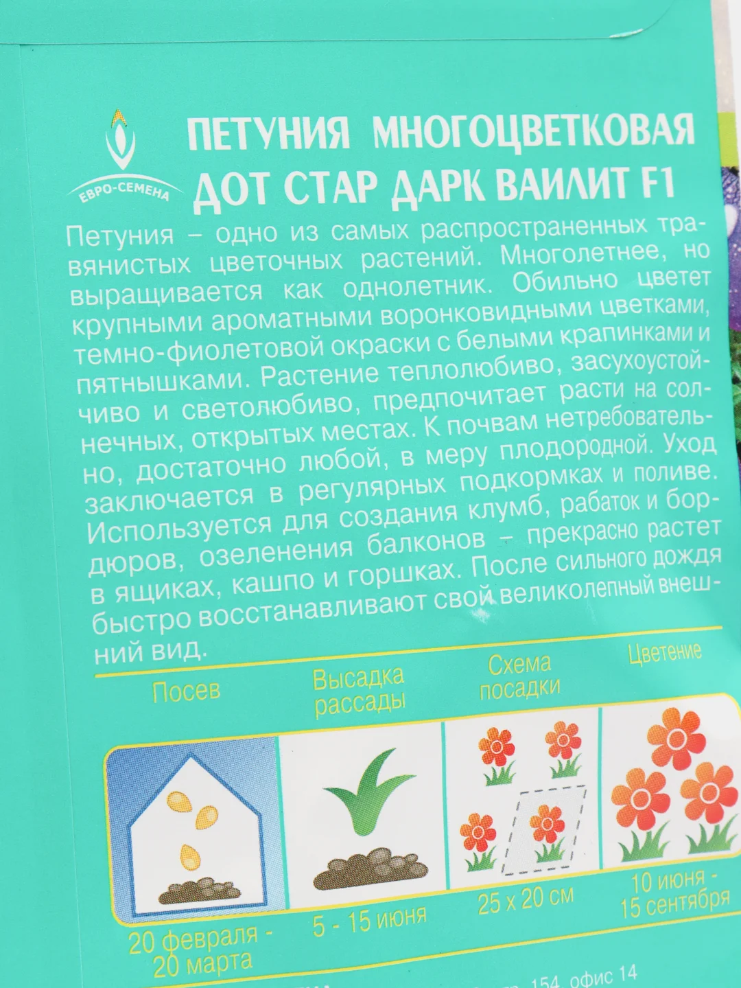 Петуния ДОТ СТАР дарк ваилит F1 10шт / Семена цветов