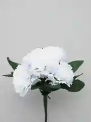 Белый искусственные цветы, хризантемы