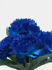 Синий искусственные цветы, хризантемы