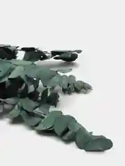 Морской букет из стабилизированного эвкалипта