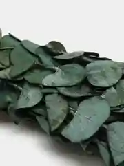 Морской букет из стабилизированного эвкалипта