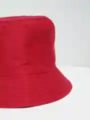 Багровый панамы