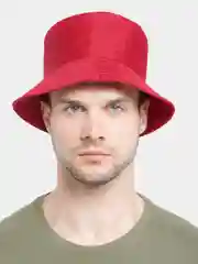 Багровый панамы