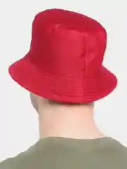 Багровый панамы