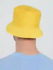 Желтый панамы