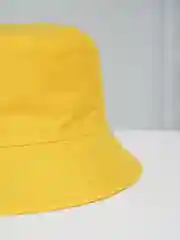 Желтый панамы