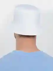 Багровый панамы
