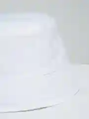 Багровый панамы