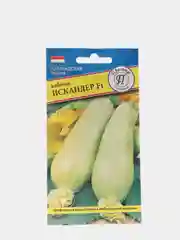 Кабачок "Искандер" (семена)