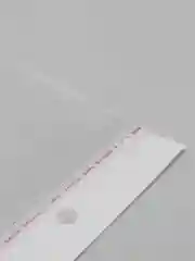 Упаковочный пакет с клеевым клапаном и с еврослотом 100 штук (бопп-пакет)