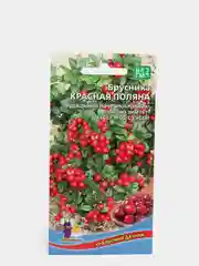 Семена Брусника "Красная поляна"