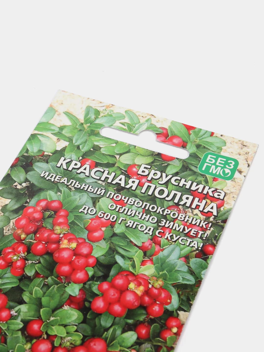 Семена Брусника "Красная поляна"