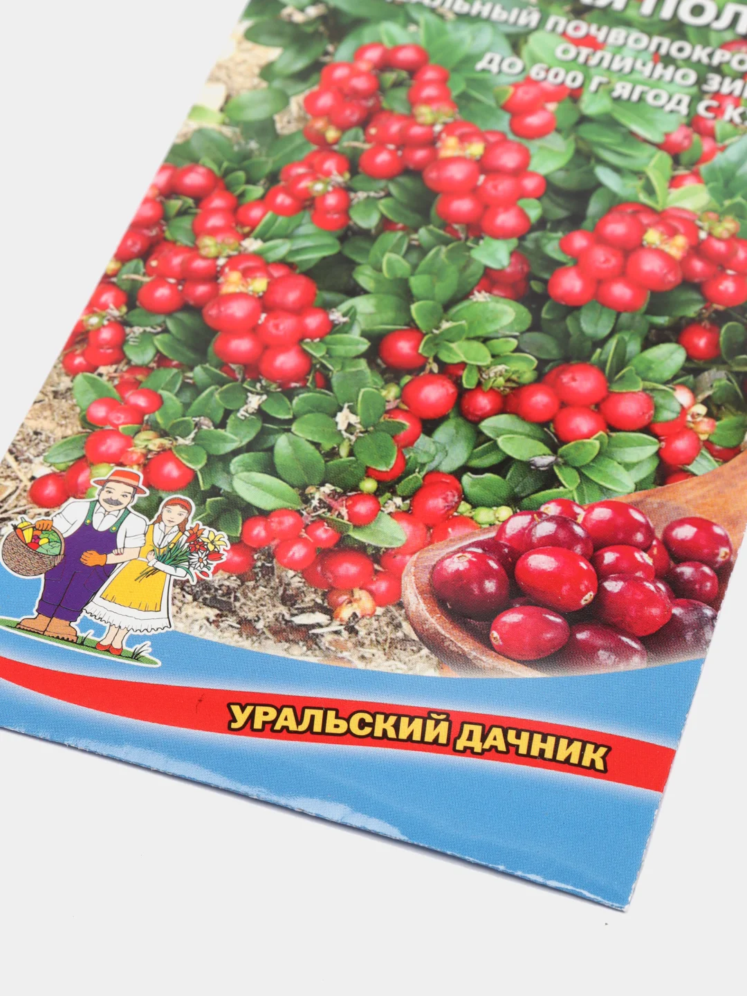 Семена Брусника "Красная поляна"