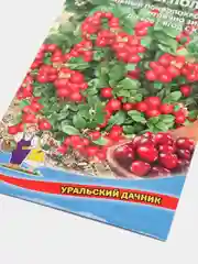 Семена Брусника "Красная поляна"