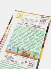 Примула "Гарден Бьюти" семена, цветы