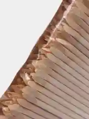 Апельсиновые палочки для маникюра, 250 шт