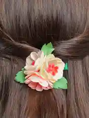 Розовый заколка для волос