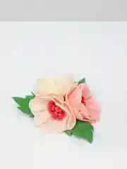 Розовый заколка для волос