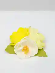 Желтый заколка для волос